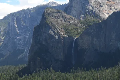 DSC_4315 (Large).JPG